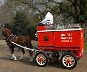 Horse-drawn 1940s United Dairies (UD) milk float 2 of 2