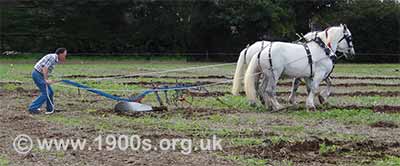 horse-drawn plough