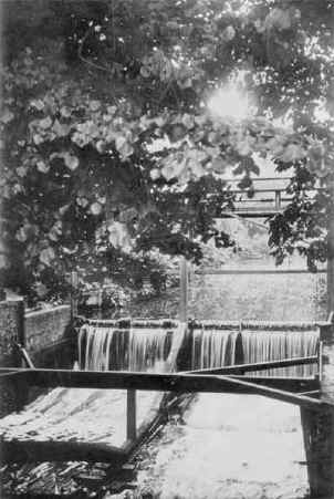 The weir, Edmonton, early 1900s