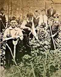 school children working in the fields