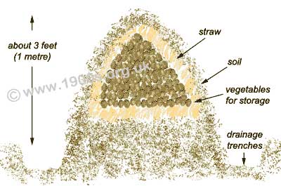 vegetable clamp: main sections