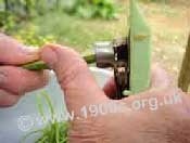 Pushing the runner bean through the slicers of the gadget.