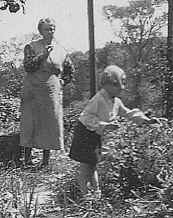 Picking fruit from the countryside for preserving